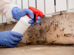 Best Commercial Mold Inspection  in Eastern Goleta Valley, CA